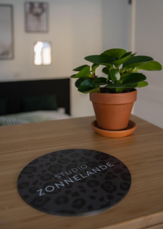 Zonnelande - Comfort Studio ザウテランデ エクステリア 写真